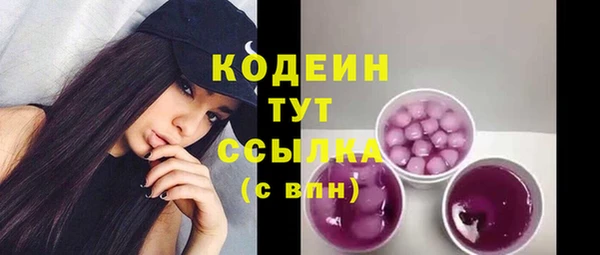индика Коряжма