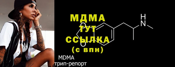 индика Коряжма
