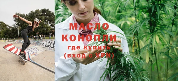индика Коряжма