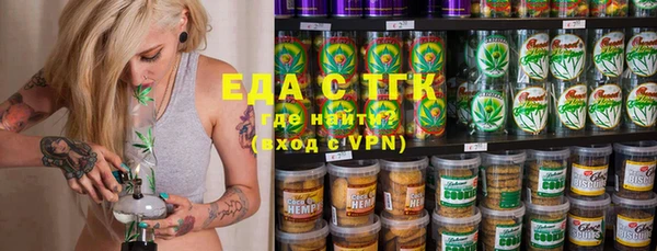 индика Коряжма
