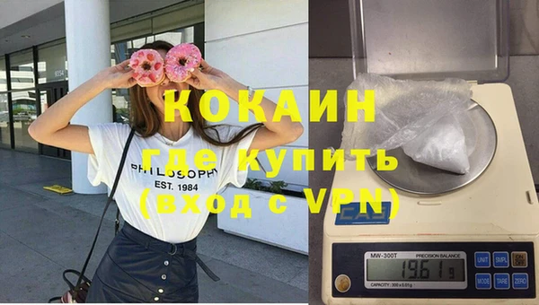 индика Коряжма