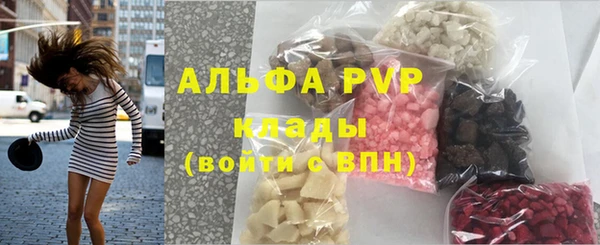 индика Коряжма