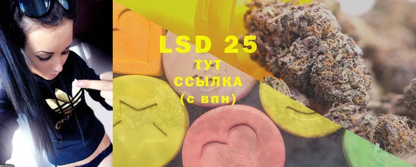 индика Коряжма