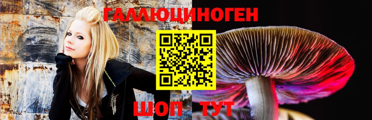 как найти закладки  Псилоцибиновые грибы Psilocybine cubensis  Вход с VPN  Псилоцибиновые грибы мухоморы  Нефтекамск 
