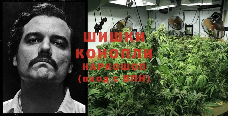 купить наркотики сайты  Нефтекамск  KRAKEN онион  Марихуана THC 21% 